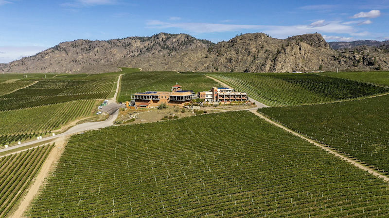 Burrowing Owl Vineyards